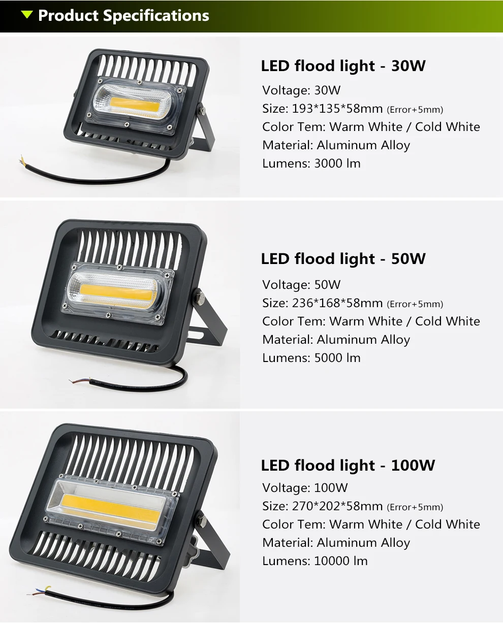 LED Floodlight  (2)
