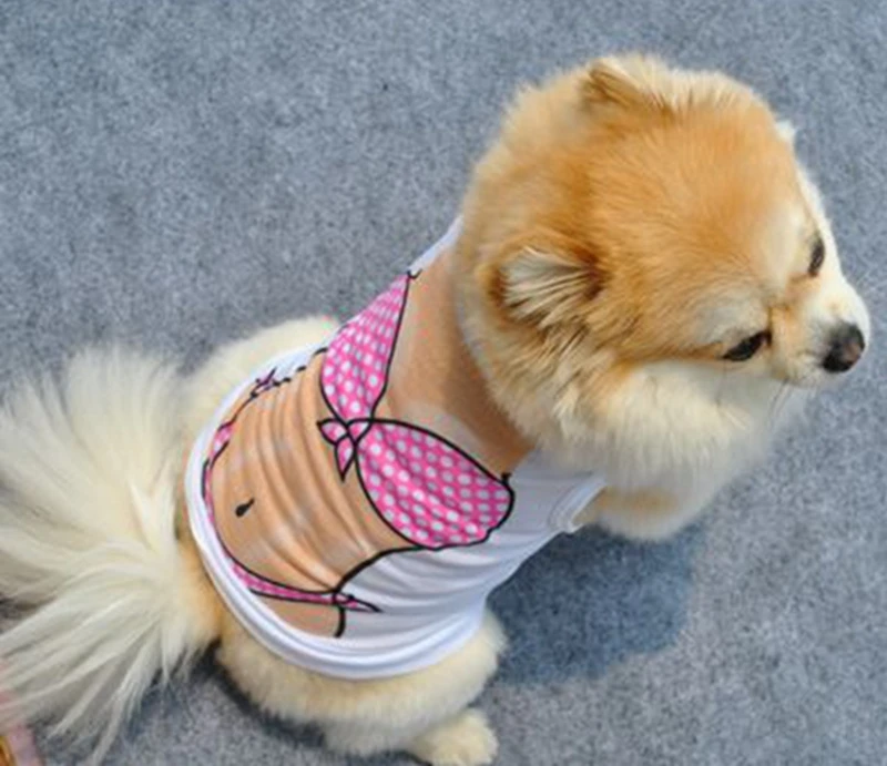 1909294239_361259826