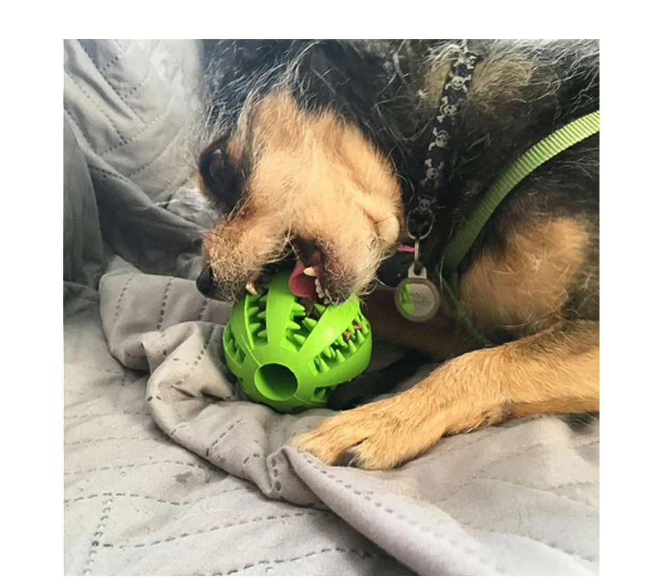 DRESSPET Pet Dog Toys Bite Resistant For Small Large Dogs Rubber Ball Molar Clean Teeth Feeding Elastic Interactive Chewing Toy (4)