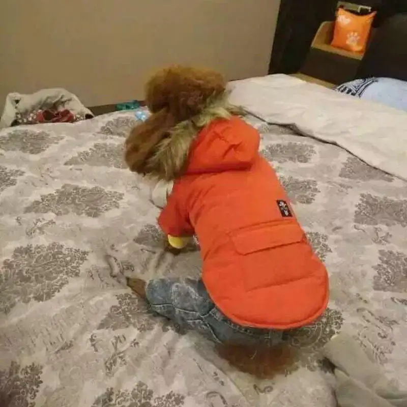 9044246741_2066003639