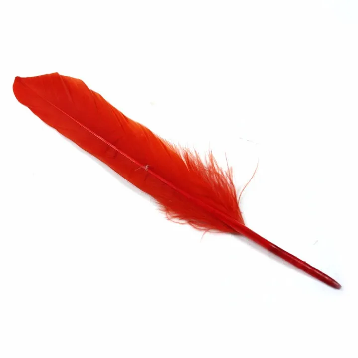 7 10PcsLot Natural Goose Feather DIY Clothing Decoration Mulit-Color Plumage for Craft Sewing Costume