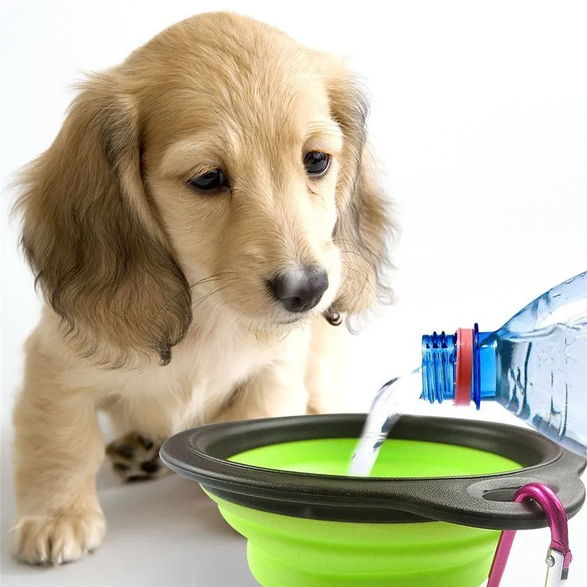 

Zero Dog Cat Pet Silicone Collapsible Travel Feeding Bowl Water Dish Feeder