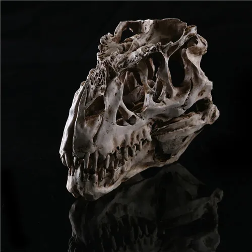 Изделия из смолы, динозавр, зуб, череп из окаменелости, обучающая модель скелета, Хэллоуин, украшение для дома, офиса, Хэллоуина