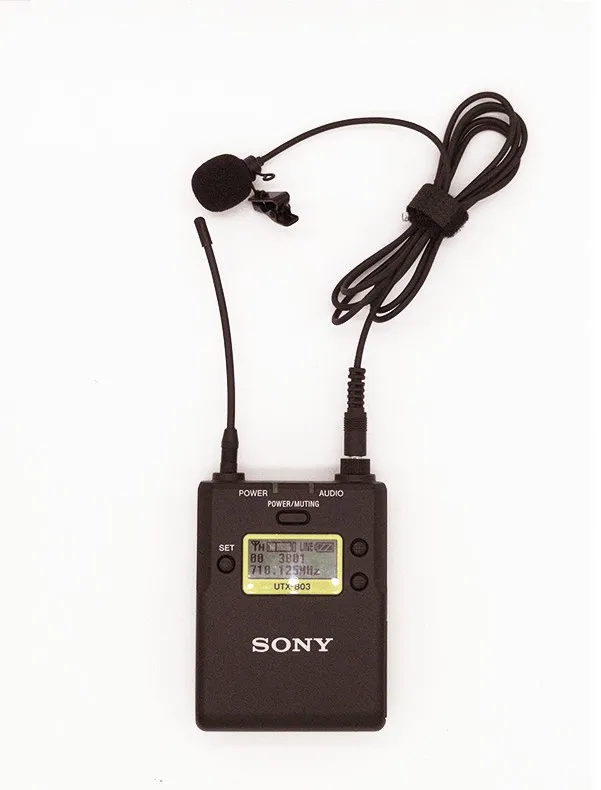 Sony D11 микрофон UTX B03 беспроводной пчелиный воротник зажим грудь пшеница головной