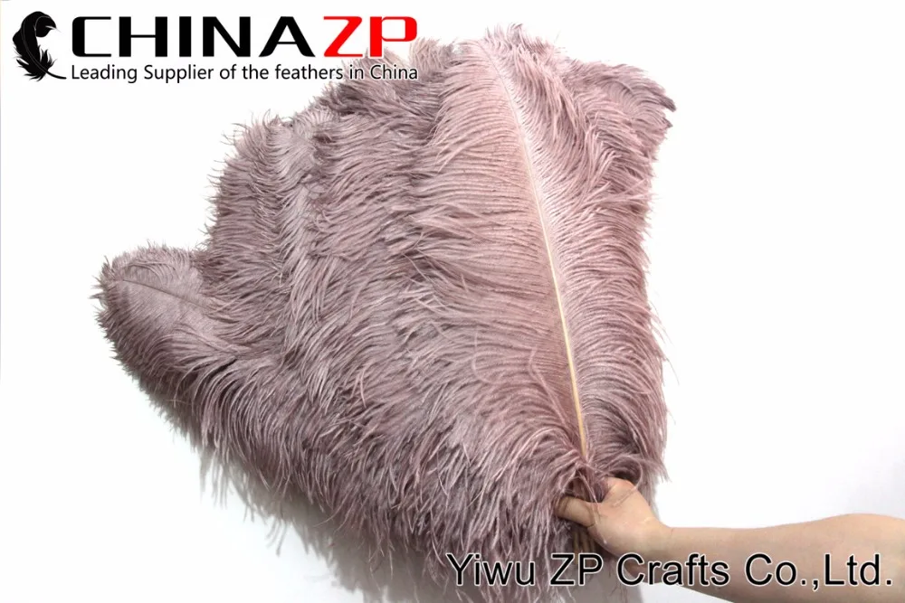1 PRIME GRADE Large Wing Plumes Wholesale Feathers (bulk) (1)