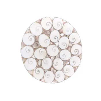 

Natural stones and minerals Shell Fossil Ammonite Slice Plate Conch Madagascar Mineral Specimen Display Wedding Party Decoration