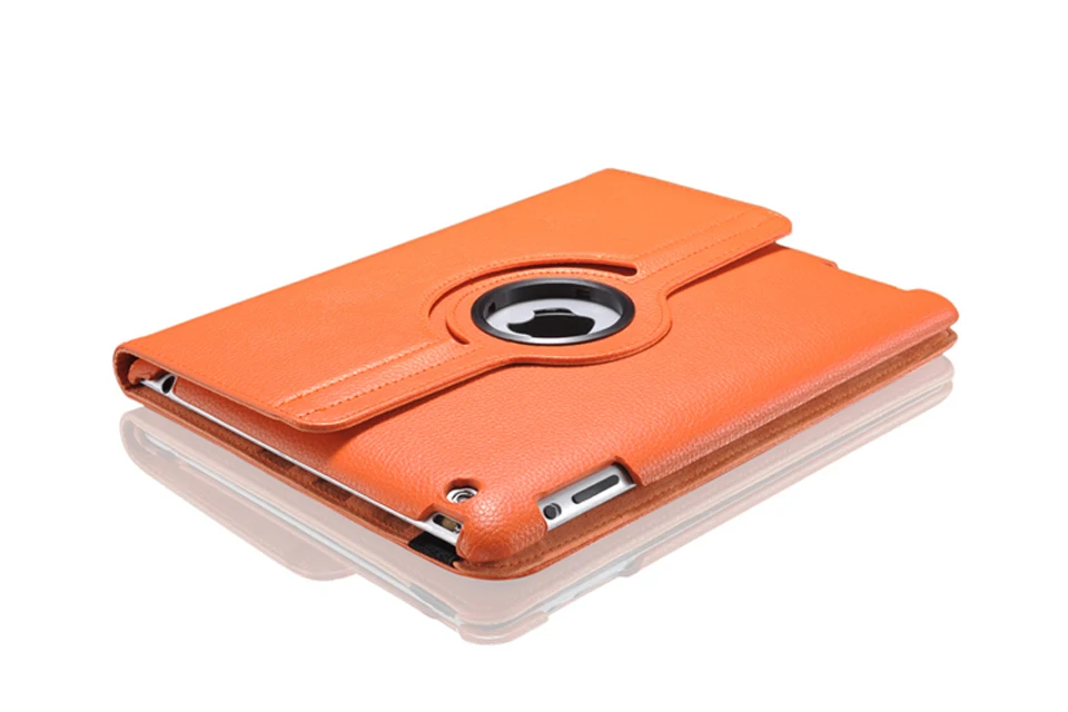 iPad Case (29)