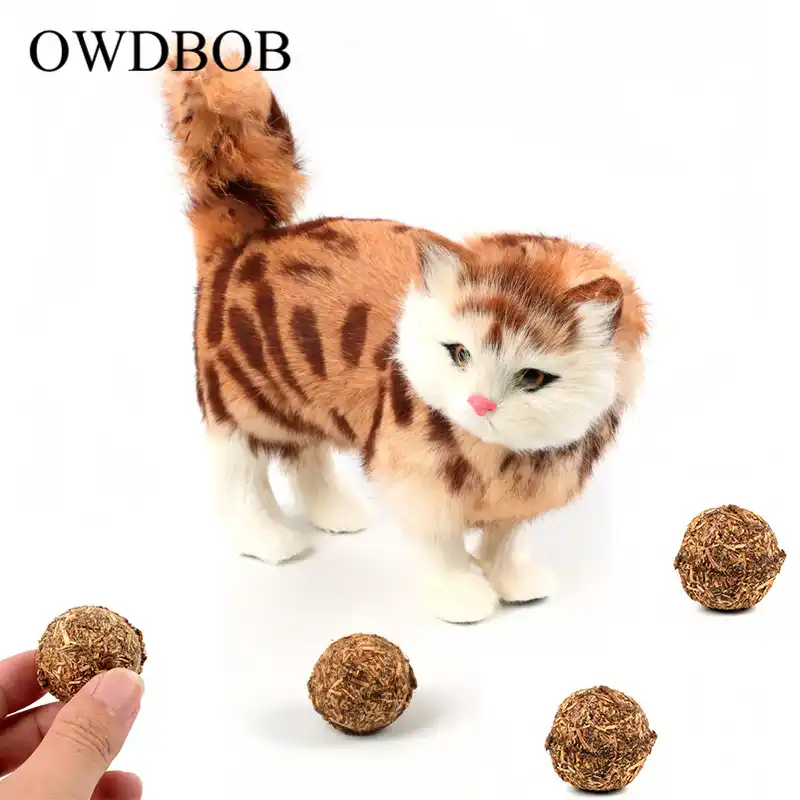 cat treat ball