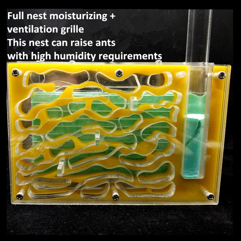 Fully moisturizing acrylic nests Ant villas Ant nests for Ants with high humidity requirements (3)