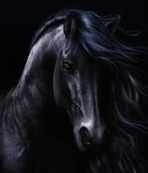 Günstig Oneroom Stickerei Gezählt Kreuz Stich Kits Hand Handwerk 14 ct DMC DIY Kunst Handgemachte Decor Das Schwarze Pferd