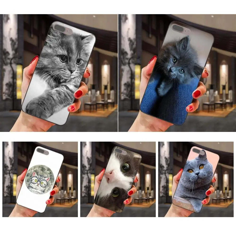Стильный дизайн для Huawei Honor Enjoy Mate Note 6s 8 9 10 20 P20 P30 Lite Play Pro P smart Gray Cat с камерой