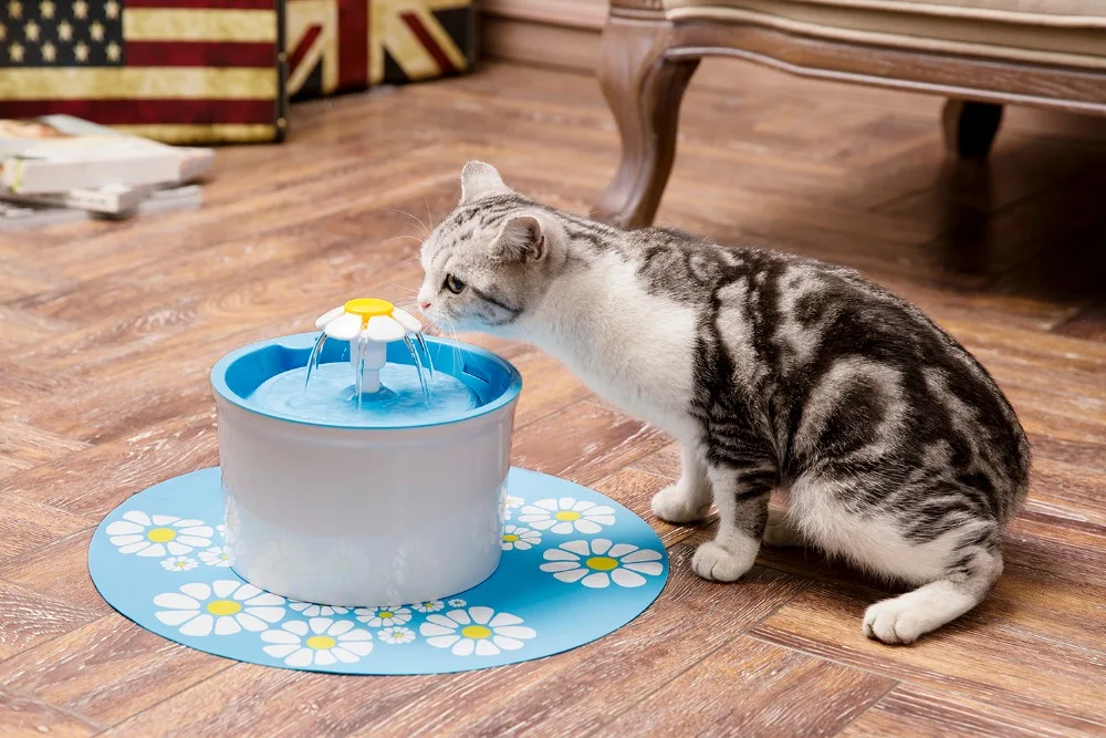 Автоматический фонтан для воды для кошек 1.6л Электрический фонтан для воды для собак кошек поилка для домашних животных миска для питья кошек диспенсер для фонтанов