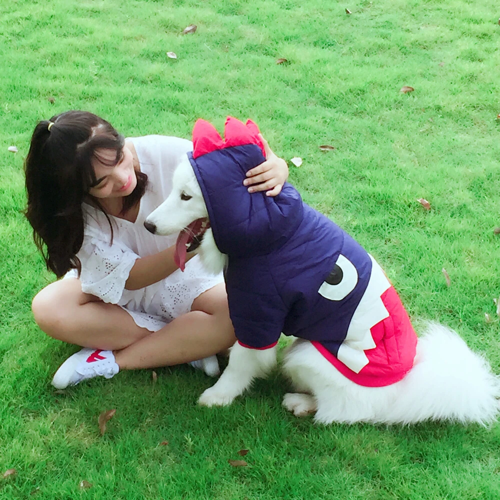 Köpek Yağmurluk