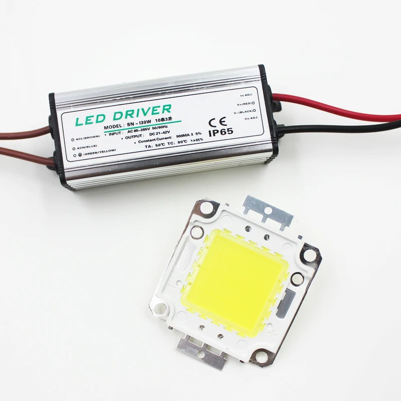 

Real Full Watt 30W High Power COB LED Lamp Chips Bulb with LED Driver for DIY Floodlight Spot Light Lawn