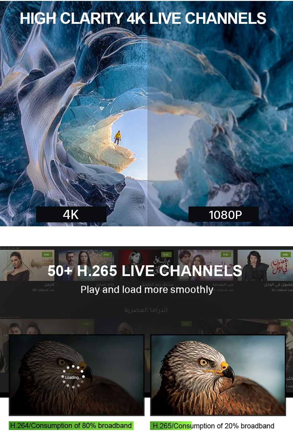 IPTV France IPTV Subscription French Arabic Belgium IP TV Code Tunisia Turkey Morocco Dutch IPTV for Android Free Test IP TV     (5)