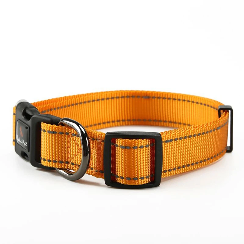 dog collar orange