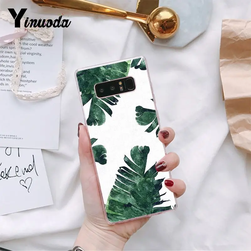 Tropical Plants Cactus Banana Leaves