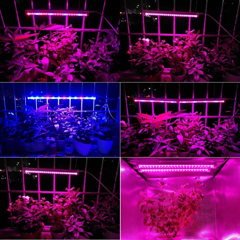 ReBlue Led for plants Grow Light Full Spectrum Led 5W Grow Lamp Led Bulbs Seedling T5 tube Grow Full SpectrumFor hydroponics (6)