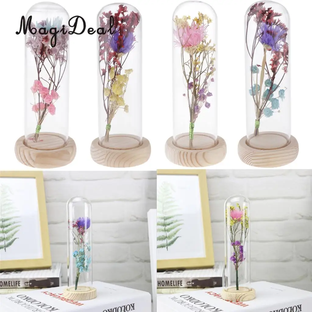 Clear Glass Display Cloche Bell Jar Dried Immortal Flower Preservation Vase Wooden Base Cafe Bar Countertop Decor Ornament