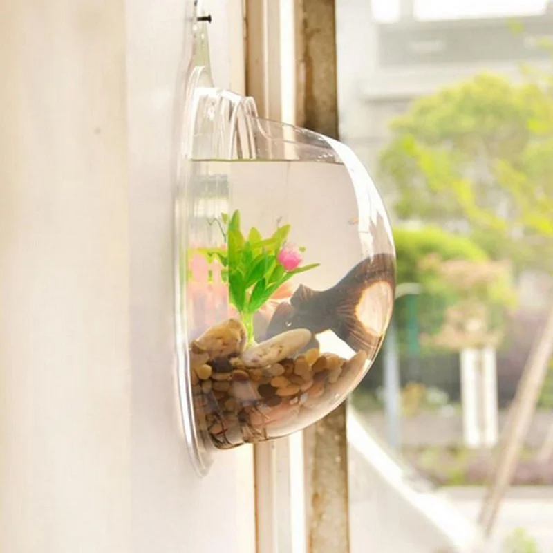 Wall Aquarium Fish Vase Acrylic Hanging l Mount  Bowl Fish Pot Bowl Tank