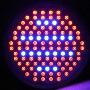 

High Efficient LED Grow Llight E27 110V 220V 6W SMD3528 106leds Plants Lamp For Flower Plant 86Red+20Blue Indoor Lighting