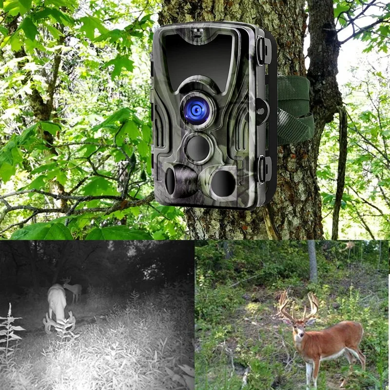 Caça Câmera Foto Armadilhas 1080 p Visão Noturna Infravermelha Jogo Trilha Chasse Scout Guarda Selvagem Hc801 16mp 2 Cheap Câmeras de caça