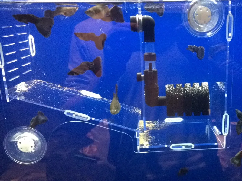 

new arrival acrylic betta new born fish breeding box hatcher with nano sponge filter for aquarium fish tank