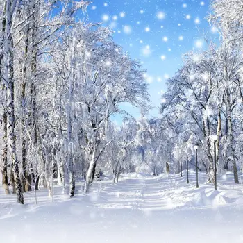 

HUAYI Snow Forest Bokeh Winter Chrismas Theme Background Studios Backdrop Professional Photo XT-7099