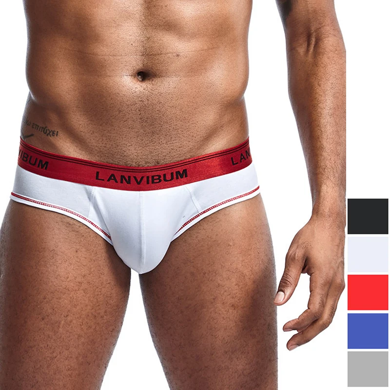

5 PCS 2019 Cotton Mens Underwear Low Waist Solid Color Underpants Soft Briefs Panties Ropa Interior Hombre