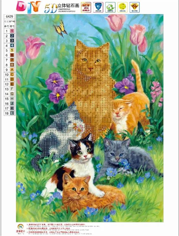 6429