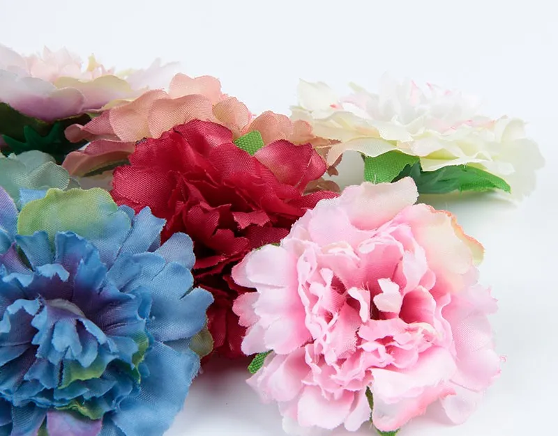 _MG_2865