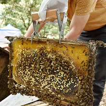 Пчелиный улей из нержавеющей стали держатель рамы подъемник с деревянной ручкой для пчеловодов оборудование для пчеловодства захват рукоятка инструменты