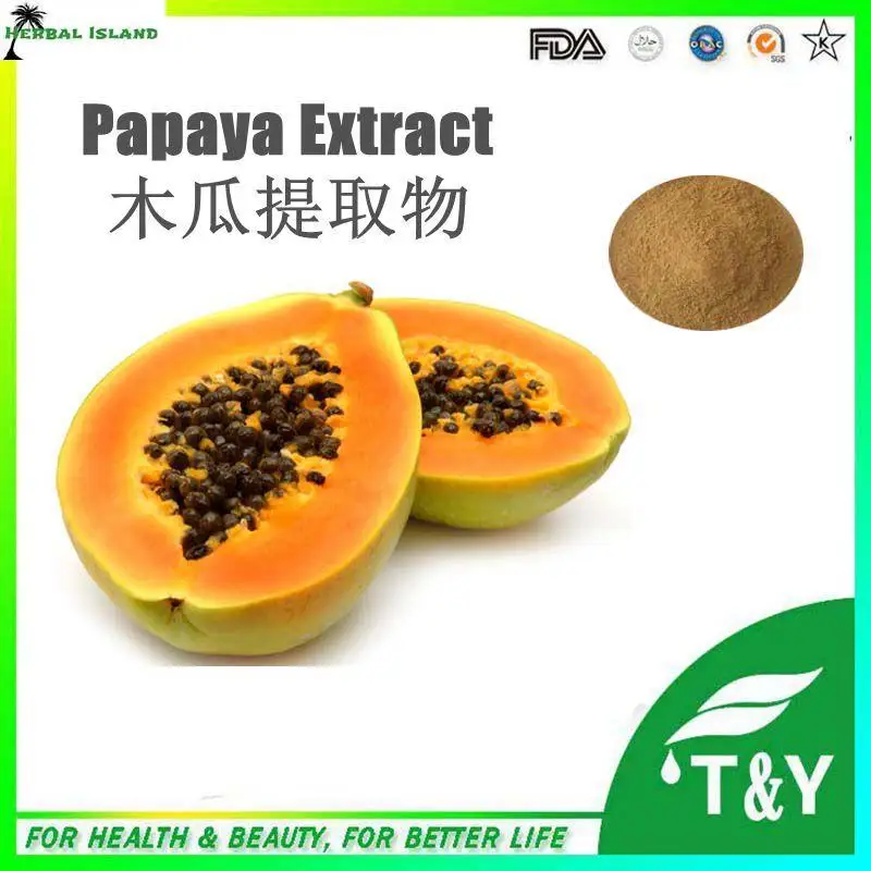 wholesale Professional Products Papaya Seed Extract, Papaya Seed
