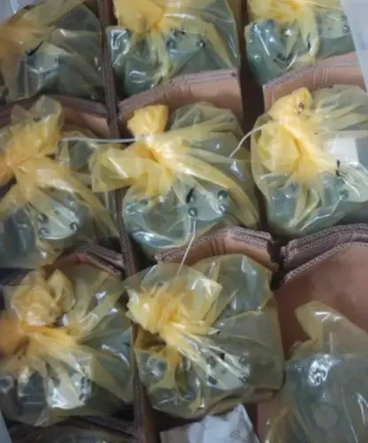 A4VSO71DR/10R-PPB13N00 насос rexroth R902423294