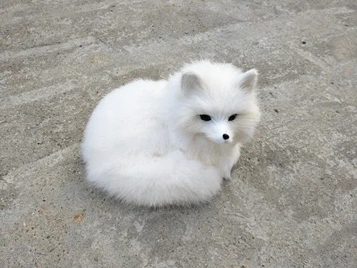 

simulation fox 15x13cm model toy,polyethylene&furs prone fox white colour,home decoration,Xmas gift 0641