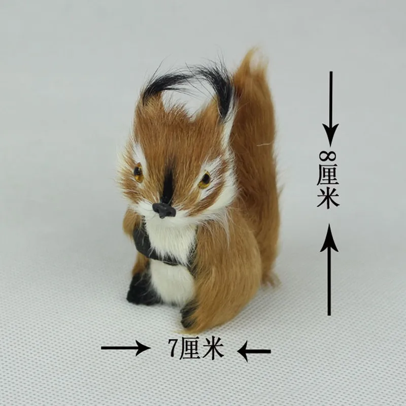 squirrel-2