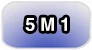 5M1