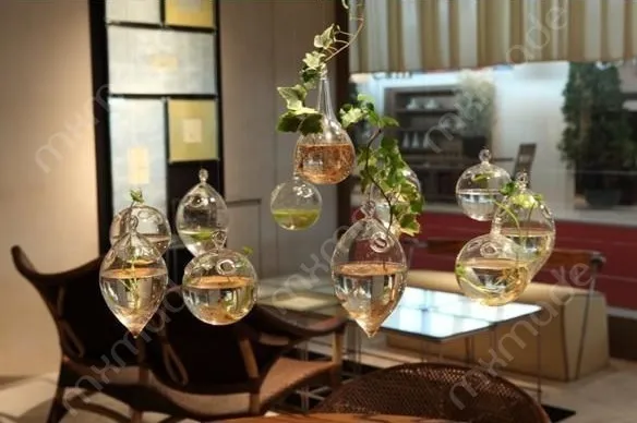 HTB1QMoNIXXXXXX1XXXXq6xXFXXXv