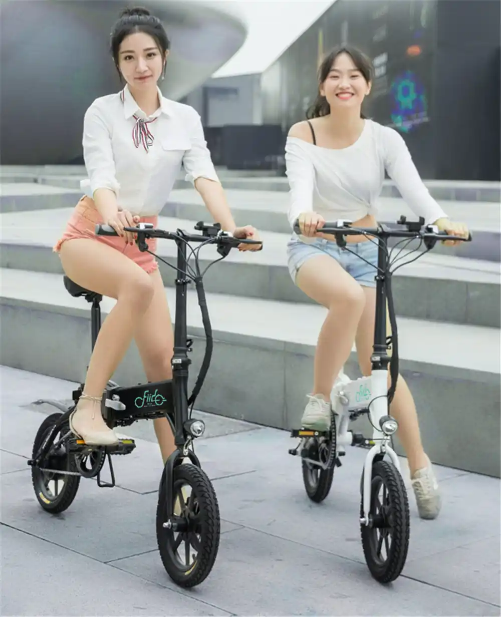 fiido d1 folding electric bike