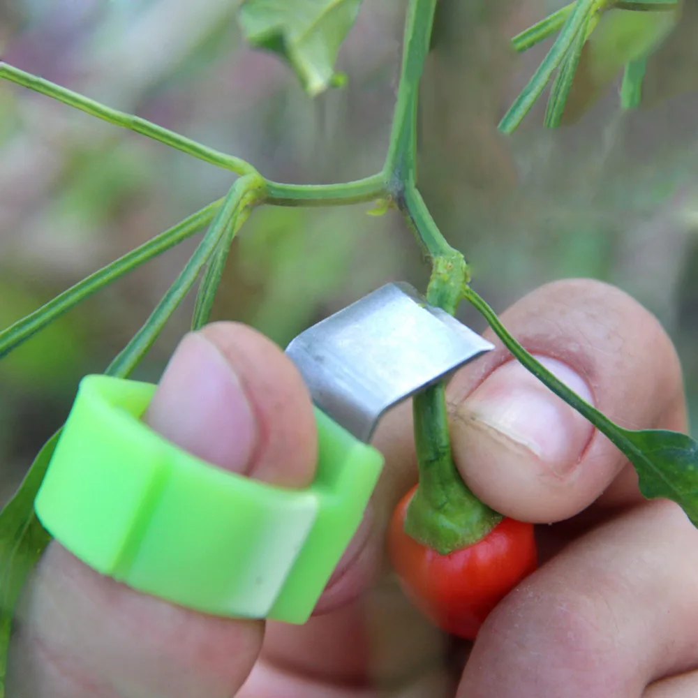 

3pcs Shear Ring Picking Vegetables and Fruit Orchard Cut Tool Convenient Picking Knife Gardening Tools