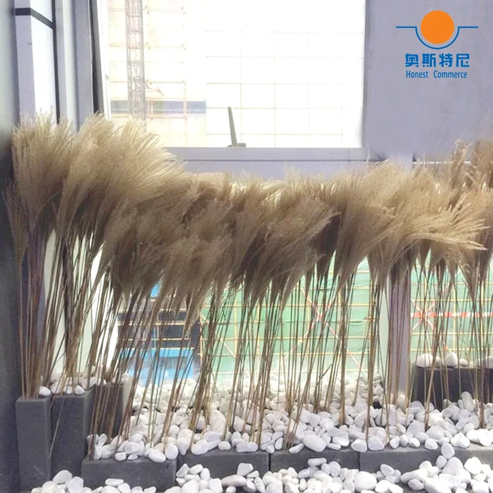 TB2XH.3mXXXXXXNXXXXXXXXXXXX_!!2628873592