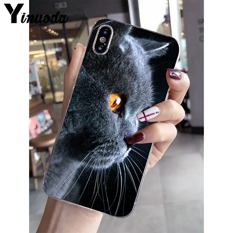 Yinuoda Британский короткошерстный Кот поделка-чехол для телефона для iPhone 5 5Sx 6 7plus 8 8Plus X XS MAX XR Fundas Capa