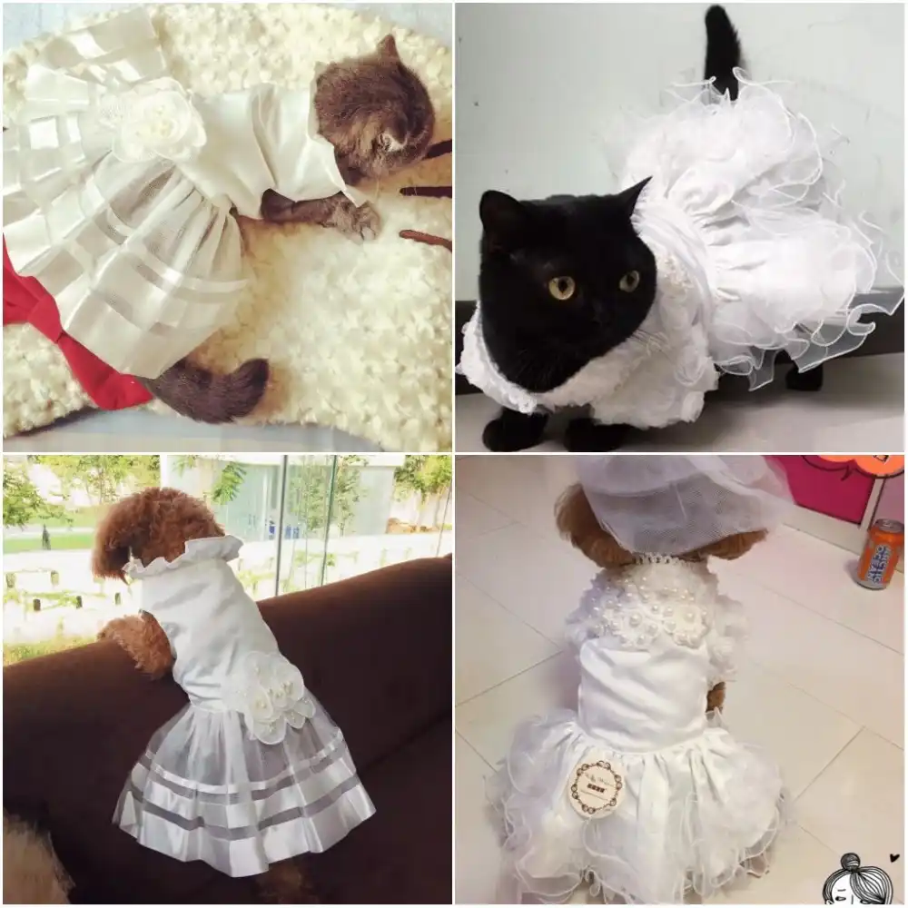 Traje De Novia De Lujo Princesa Gato Perro Vestido De Boda Vestido De Gato Ropa De Falda Perritos Tutu De Mascotas Falda Vestido De Cachorro Perro Vestido De Noviaperro De La Boda Aliexpress