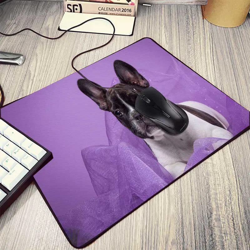 16dogs-thought-lost-dog-widescreen-wallpaper-1920x1080 (5)