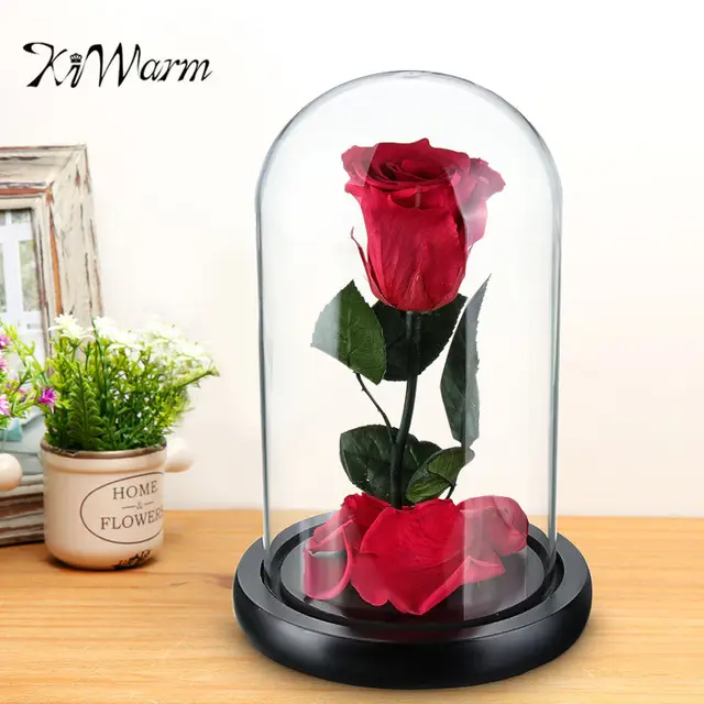 Kiwarm New Beauty And The Beast Enchanted Rose Fairy Tale Belle Kiwarm New Beauty And The Beast Enchanted Rose Fairy Tale Belle Gl Prop Eternal Flower