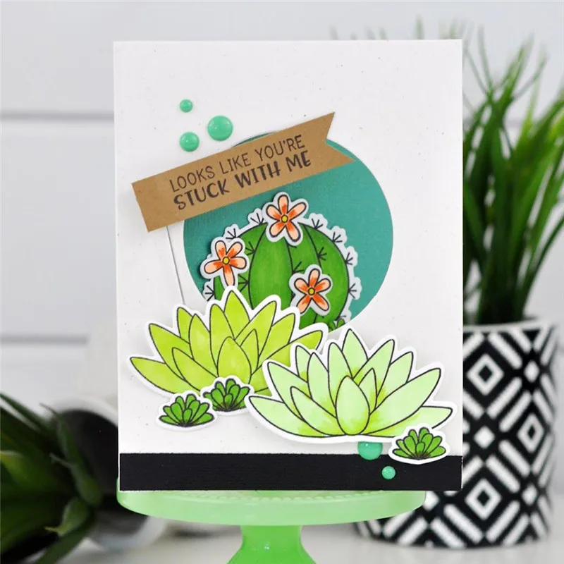 

DiyArts Cactus Clear Stamps and Die Plant Word Birthday Metal Die Cutting Craft New 2019 Scrapbooking Card Making Embossing DIY