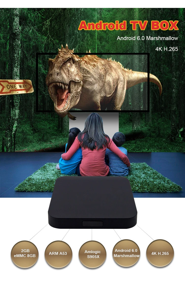 

Development Customing Version 4K 2K H.265 HDR Advertising Player Power on and Video/Music/Picture Automatically,Smart Players