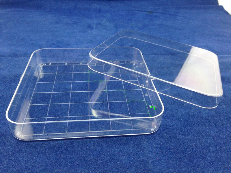 Buy High quality 10cm*10cm PS Square petri dish 36