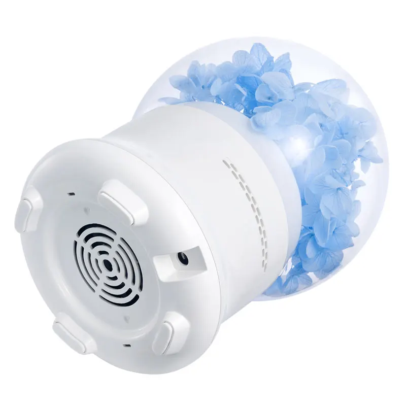 air humidifier (3)