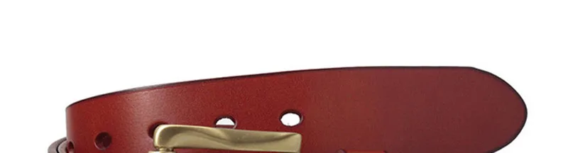 N17FJ531 (18)
